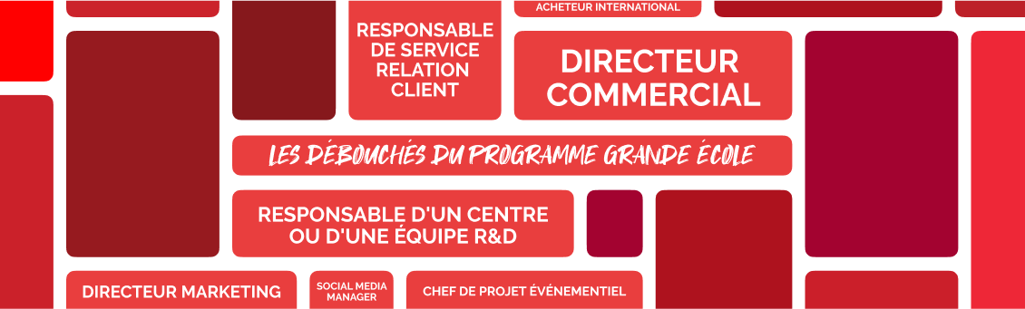 Les Débouchés du Programme Grande École de l'ICD Business School